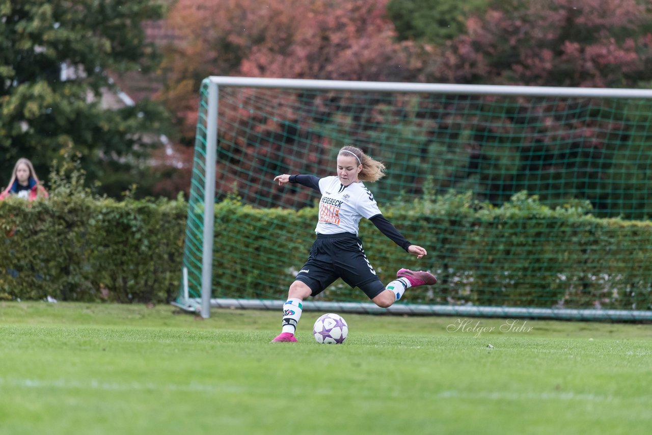 Bild 127 - B-Juniorinnen SV Henstedt Ulzburg - Hamburger SV : Ergebnis: 2:3